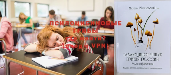 спиды Алексеевка