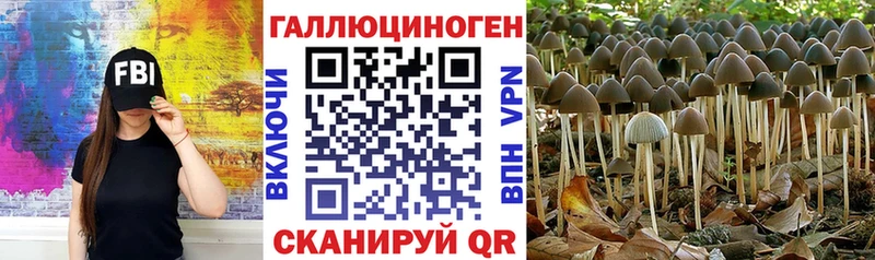 кракен ТОР  Татарск  Псилоцибиновые грибы Psilocybe  закладки 